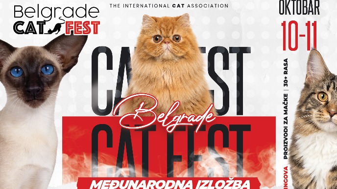 Festival mačaka u Beogradu
